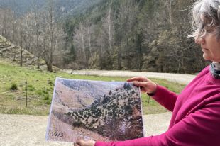 Talaran el 25% d'arbres d'una finca pública a Molló per incrementar l'aigua a la conca del Ter