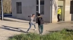 Apedreguen un vigilant de l'estació de Maçanet i l'han d'acabar rescatant de dins un barranc
