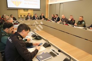 Les detencions creixen un 61% a Banyoles però els delictes són un 30% sota la mitjana catalana
