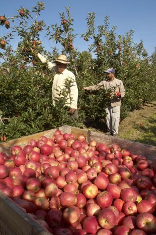 El 40% de les exportacions gironines són del sector agroalimentari