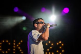 Vicco, Julieta, 31 FAM, Carmesí, The Reytons, La Reina del Pop, THe K's o Mag Larí, al White Summer