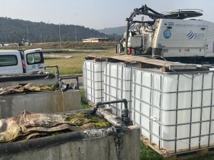 Membres del CEAB-CSIC de Blanes troba una manera de tractar aigües residuals de forma natural