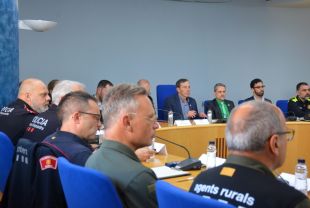 Creixen un 28% els delictes violents a la Garrotxa i Olot crearà un grup policial específic per lluitar-hi