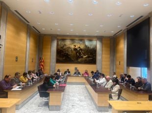 La Diputació de Girona transforma els premis Projecta't en un servei d'assessorament empresarial