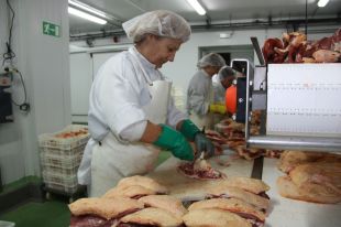 El 42% de les empreses gironines no tenen un pla estratègic que marqui les línies de futur 