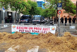 Els pagesos gironins protesten per la nova baixada del preu que els paguen per la llet