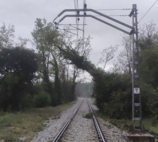 Interromputs els trens entre Manlleu i Ripoll per un arbre caigut a la via