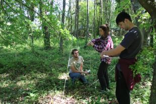 Impulsen a Olot la restauració de la roureda de Mas Tarut entre la Moixina i el Parc Nou