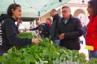L'11è Mercat de les Herbes de la Ratafia se centra en l'adaptació dels horts i jardins a la sequera