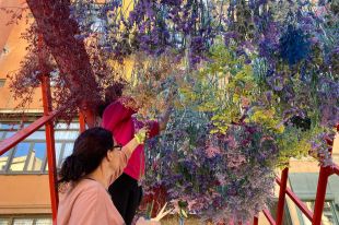 Girona enllesteix els muntatges per inaugurar dissabte el 69è Temps de Flors