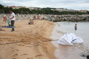 Troben una cria de balena morta a la platja del Canyet de Sant Feliu de Guíxols