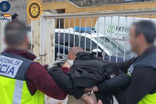 Desmantellats tres cultius de marihuana a les comarques gironines amb 900 plantes i tres detinguts