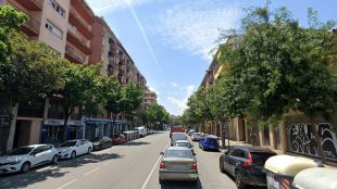 Girona talarà diferents arbres morts en una quarantena d'emplaçaments