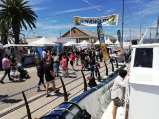 Fins a 16.000 persones visiten el Palamós Terra de Mar