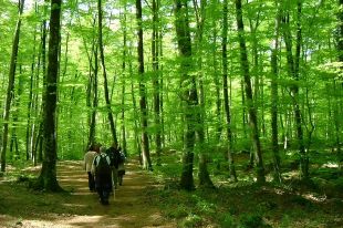 La 6a edició del Garrotxa Volcanic Walking comptarà amb deu activitats arreu de la comarca