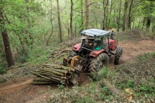 Finalitza la primera fase de neteja de boscos a la Vall de Bianya