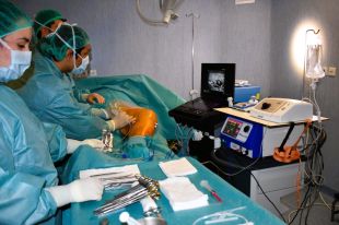 El Santa Caterina incorpora noves tècniques menys invasives contra les varius