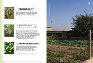 Girona fa un catàleg de plantes silvestres d’ús alimentari i les hortalisses de les hortes de Santa Eugènia