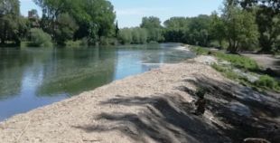 L'ACA licita les obres de restauració i millora ambiental del meandre de Colomers