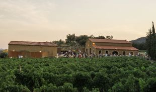 La Ruta del Vi DO Empordà programa noves activitats d'enoturisme per aquest estiu