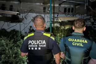 Dos detinguts i un cultiu amb 400 plantes de marihuana desmantellat a Caldes de Malavella