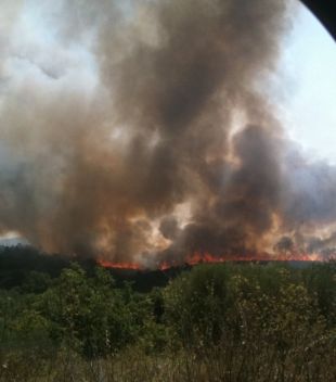 L'incendi de l'Alt Empordà crema ja 40 hectàrees i fa confinar pel fum els veïns de Rabós 