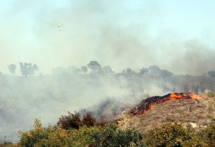 La investigació apunta que una cigarreta ha provocat l'incendi a Rabós d'Empordà 