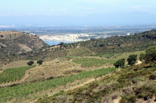 La gestió del Cap de Creus i el Montgrí, exemple a escala internacional en l'adaptació al canvi climàtic