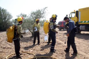 Controlat l'incendi de l'Alt Empordà que finalment ha cremat 82,5 hectàrees