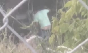 Lloret condemna un cas de maltractament animal a la masia ocupada de Can Buch