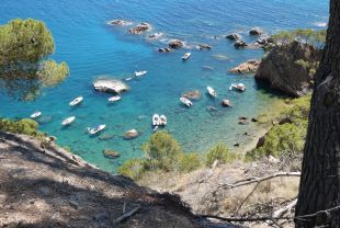 Denuncien que han arrencat de nou les balises de la cala Vedell de Mont-ras