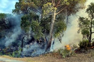 Girona registra un dels estius amb menys incendis forestals dels darrers anys