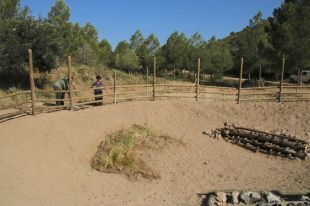 El parc natural del Montgrí crea una bassa artificial lliure de fauna invasora