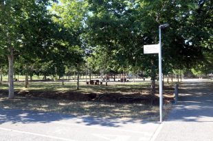 Veïns de Girona rebutgen la construcció de nous habitatges lligats al futur Campus de Salut en un parc