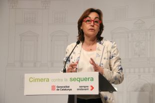 Paneque s'acomiada del ple de Girona i es compromet a continuar treballant per a la ciutat