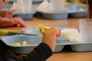 La Garrotxa adjudica per 4,48 MEUR del servei de menjadors escolars i de casals d'estiu