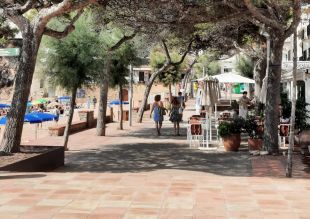 Aprovat inicialment la conversió en zona de vianants del passeig marítim de Llafranc