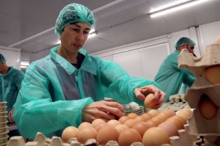 L’atur tanca l’any a les comarques gironines amb un lleuger increment del 0,58%