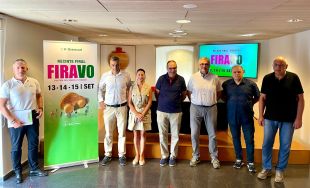 La 18a Fira del Vehicle d'Ocasió de Figueres exposarà més de 400 cotxes de 16 concessionaris