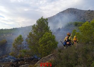 Estabilitzat un incendi forestal a la Creu de Santa Caterina a Torroella de Montgrí