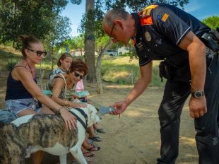Lloret anuncia sancions per qui incompleixi la normativa de tinença d'animals