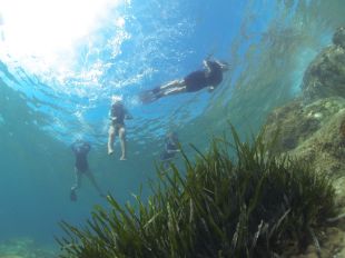 Calonge convertirà les platges i cales en una àrea verda marina de protecció mediambiental