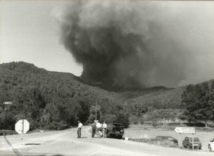 Arbúcies commemora els 30 anys del foc de 1994 amb diversos actes
