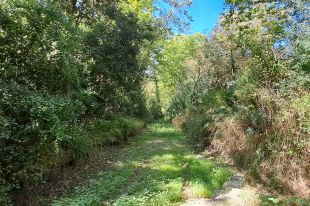 L'ACA licita la redacció del projecte per a la millora ecològica de les rieres de Calonge i els Molins