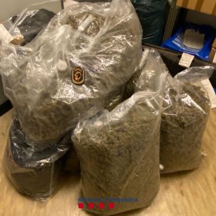 Cinc detinguts i 59 kg de marihuana comissats a l'AP-7 a Aiguaviva