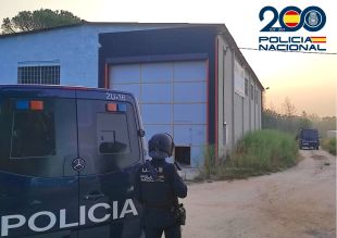 Desmantellats tres cultius de marihuana a la comarca de la Selva