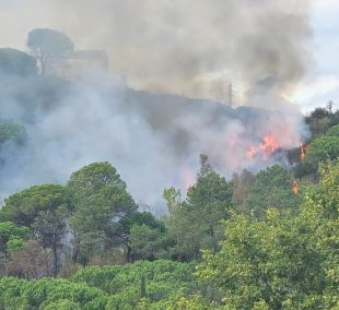 Dos incendis de vegetació a la Font de la Pólvora de Girona mobilitzen els Bombers