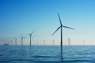 Investiguen com fer compatible l'eòlica marina amb la protecció del mar