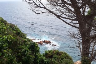Neutralitzen onze granades de la Guerra Civil trobades al litoral de Sant Feliu de Guíxols