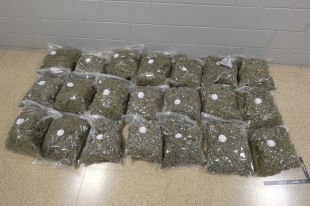 Enxampen un home amb 20 kg de marihuana a Llers valorada en més de 37.000 euros